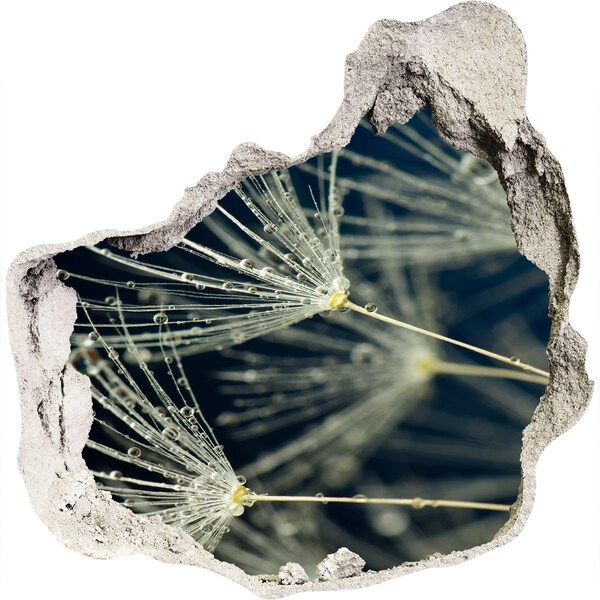 Hole in the wall decal Dandelion flowers in water