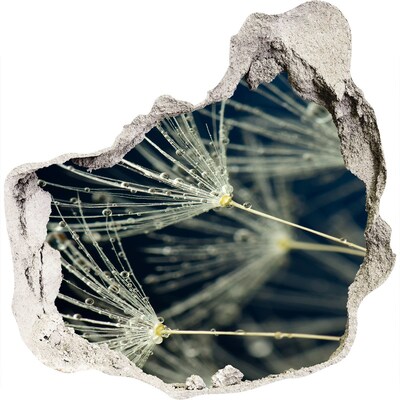 Hole in the wall decal Dandelion flowers in water