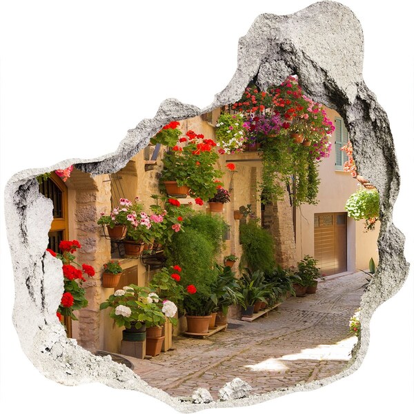 Hole in the wall sticker A charming street with flowers
