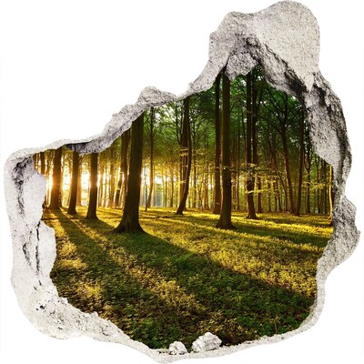 Hole in the wall decal Golden forest in the morning