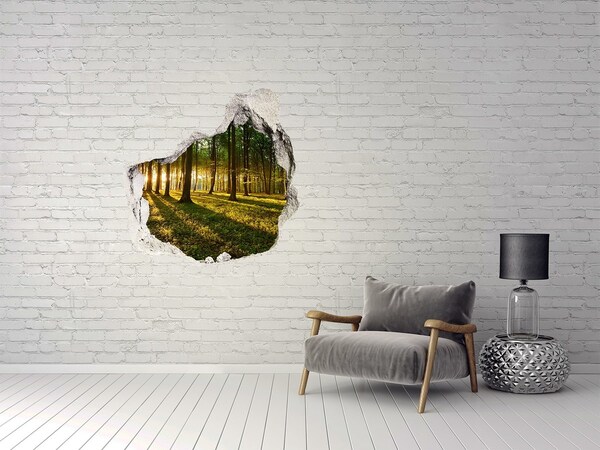 Hole in the wall decal Golden forest in the morning