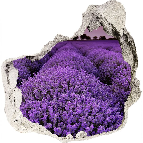 3D wall hole wallpaper A lavender field in full bloom