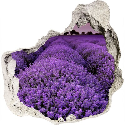 3D wall hole wallpaper A lavender field in full bloom