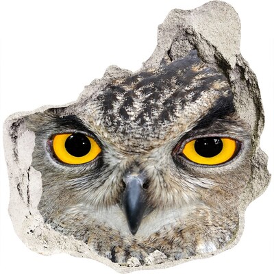 Hole wall sticker Owl