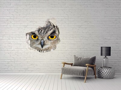 Hole wall sticker Owl in concrete