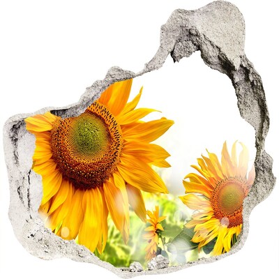 Hole in the wall sticker Sunflowers