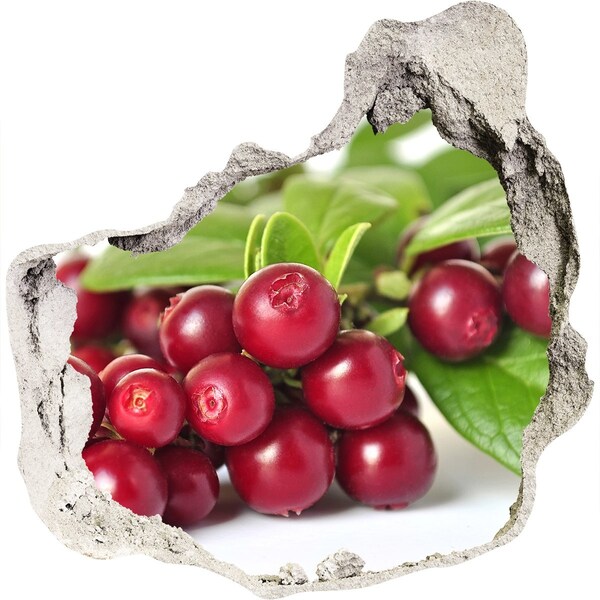 Hole in the wall decal Fruity Hole in the Wall