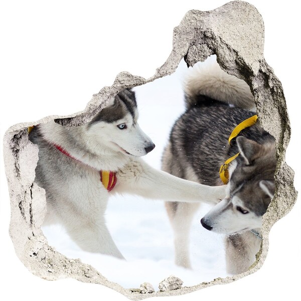 3D wall hole wallpaper Siberian Huskies in action