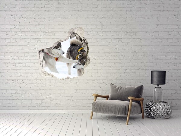3D wall hole wallpaper Siberian Huskies in action
