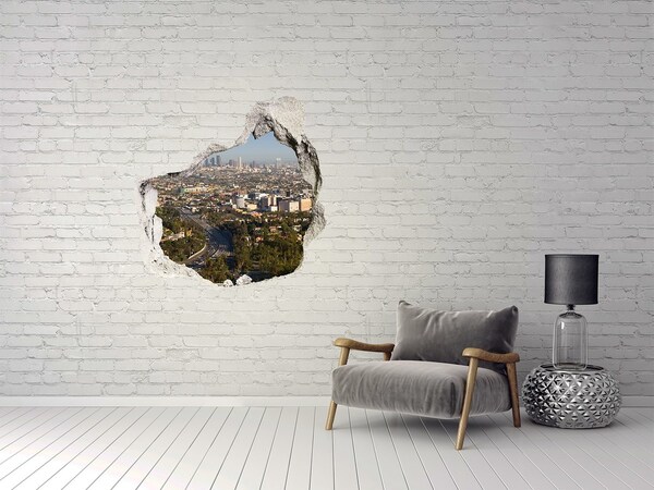 Hole in the wall decal Los Angeles