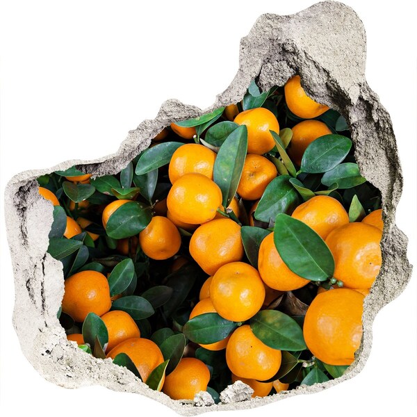 Hole wall sticker Fruit in the orange garden