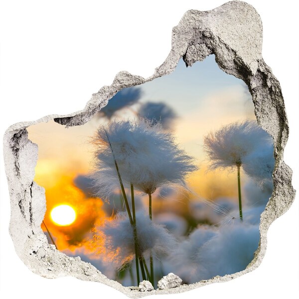 Hole wall sticker Flowers at sunset