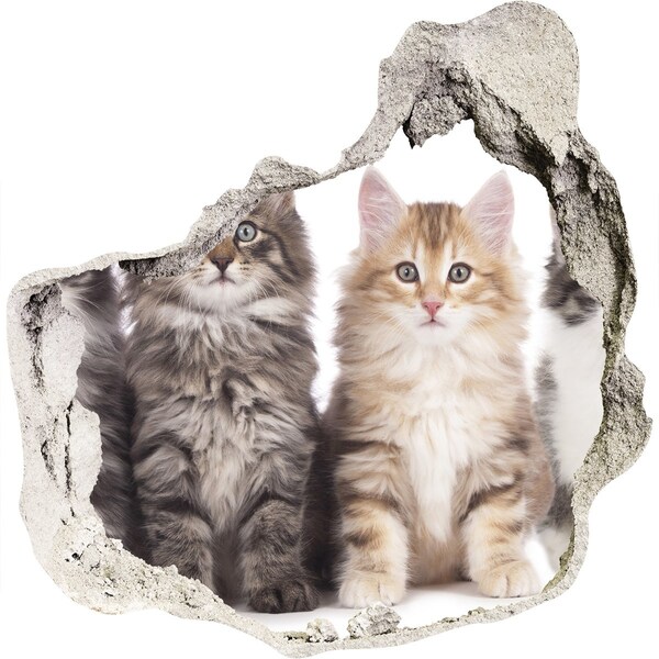 3D wall hole wallpaper Six cats