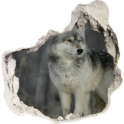 Hole in the wall sticker Gray wolf