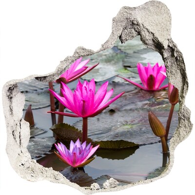 3D wall hole wallpaper Water flowers in the pond