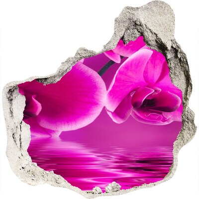 Hole wall sticker Orchid