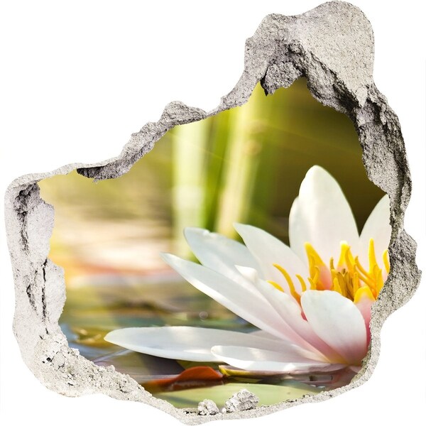 Hole wall sticker water lily