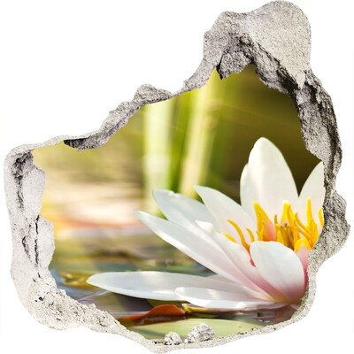 Hole wall sticker Water flower in the garden