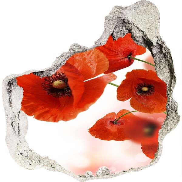 Hole in the wall decal Poppy flowers in a hole in the wall
