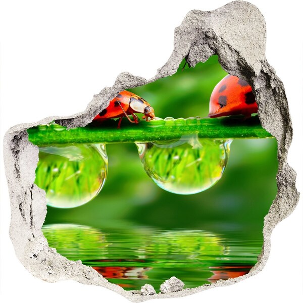 Hole in the wall decal A Drop of Nature with a Ladybug