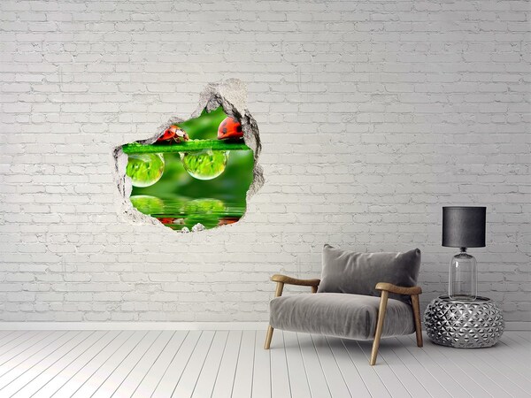 Hole in the wall decal A Drop of Nature with a Ladybug