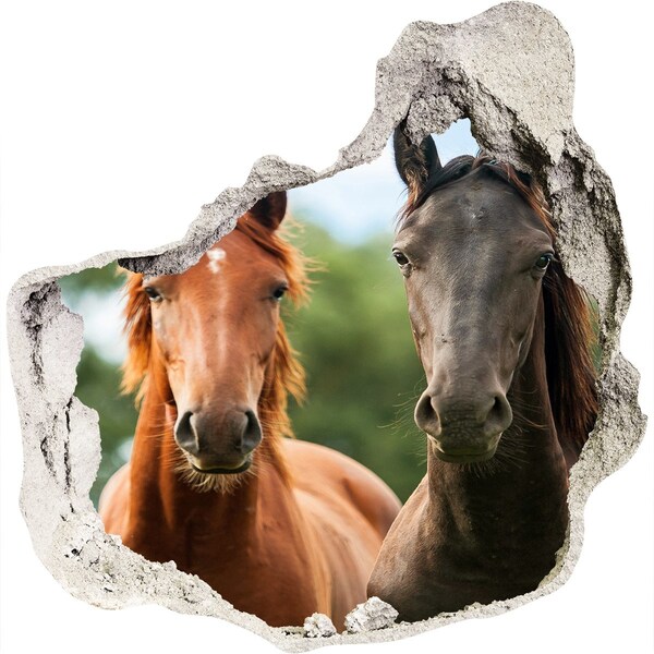 Hole in the wall sticker Three horses