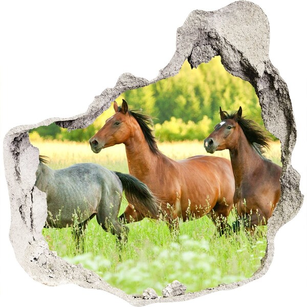 3D wall hole wallpaper Running horses in nature