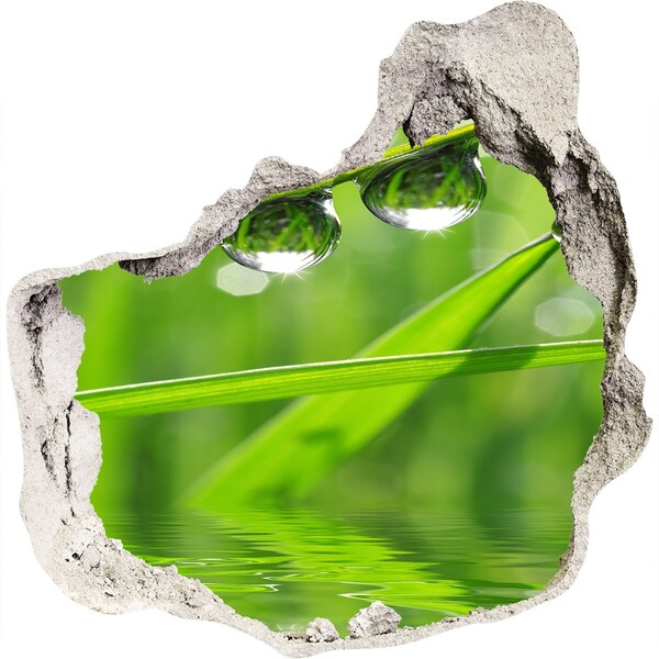 3D wall hole wallpaper Green oasis with water drops