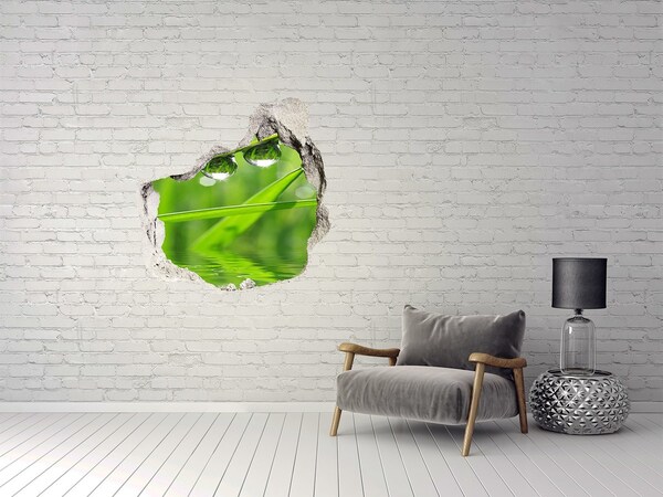 3D wall hole wallpaper Drops on the grass