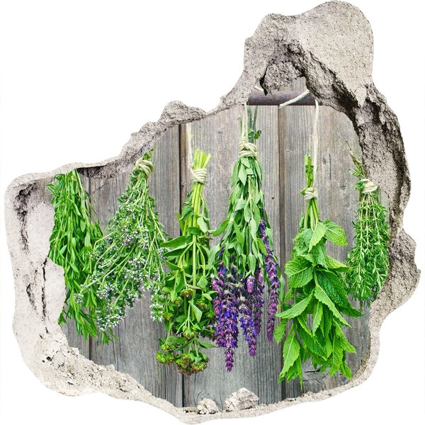 Hole wall sticker Herb garden behind the wall