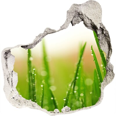 Hole in the wall sticker Green meadow with drops of water