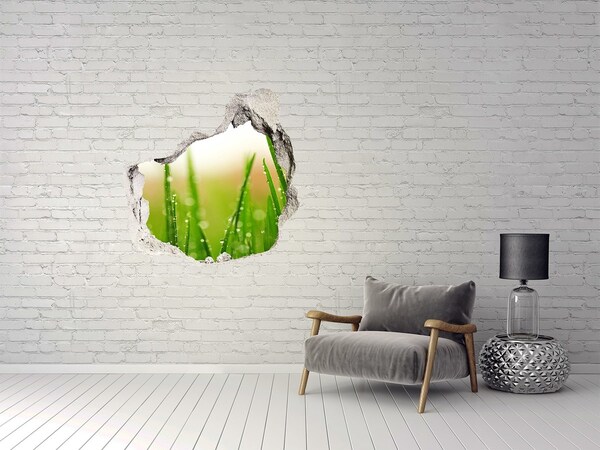Hole in the wall sticker Green meadow with drops of water