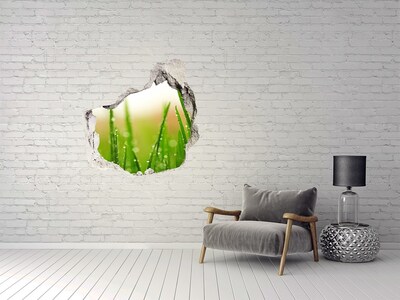 Hole in the wall sticker Green meadow with drops of water