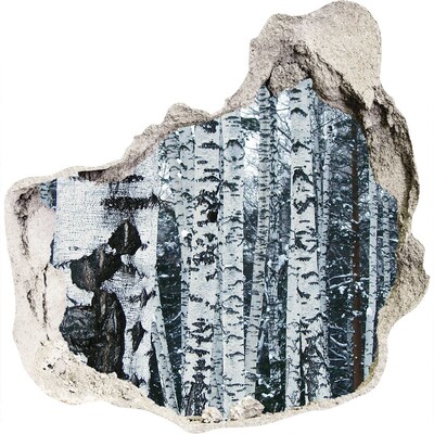 Hole in the wall decal Winter birch forest
