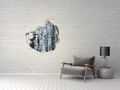 Hole in the wall decal Winter birch forest