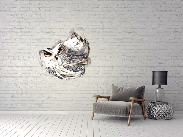 Hole in the wall decal Owl