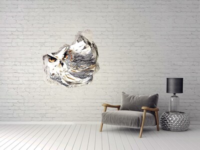 Hole in the wall decal Owl