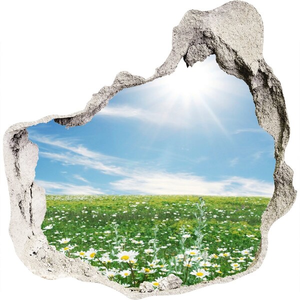 Hole in the wall sticker A flower meadow under a blue sky