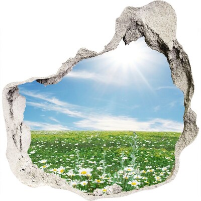 Hole in the wall sticker A flower meadow under a blue sky
