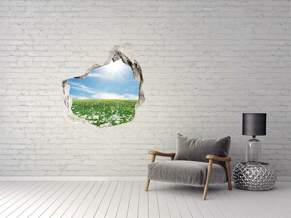 Hole in the wall sticker A flower meadow under a blue sky