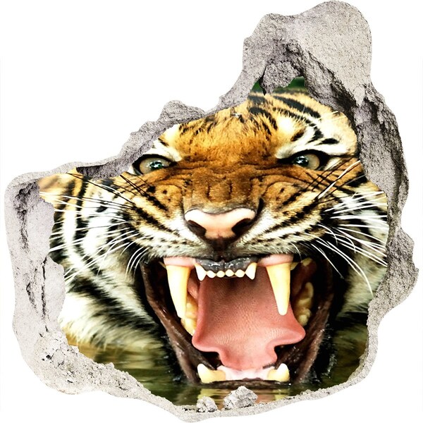 Hole in the wall decal Tiger in action