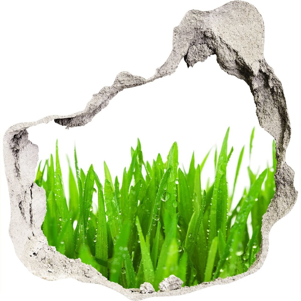 Hole in the wall sticker Grass