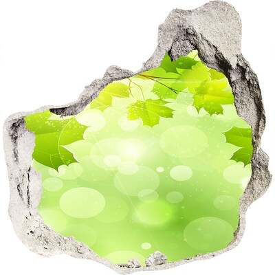 3D wall hole wallpaper A green oasis among the leaves