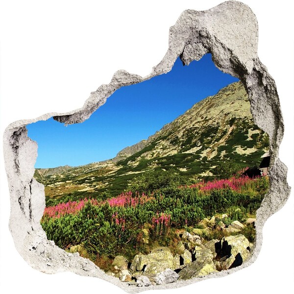 Hole in the wall decal Mountain landscape in a hole in the wall