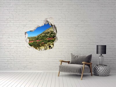 Hole in the wall decal Mountain landscape in a hole in the wall