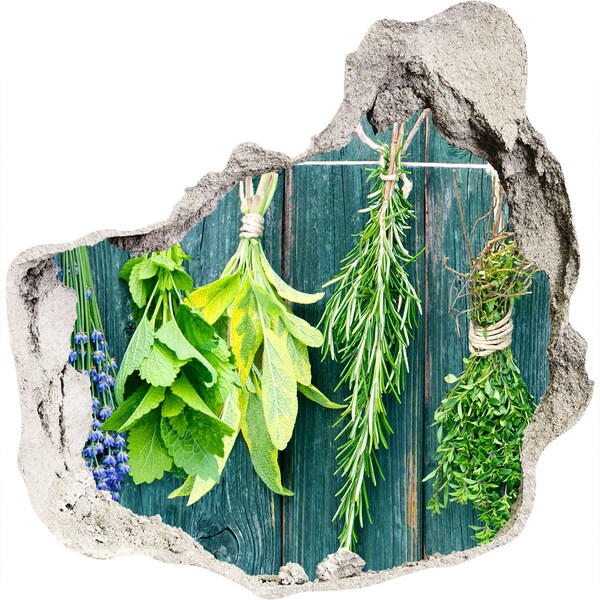 Hole in the wall decal Herbs on a string