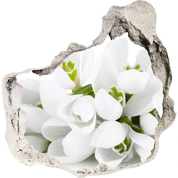 Hole wall sticker Snowdrops