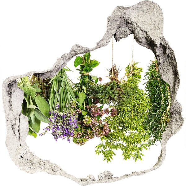 3D wall hole Green herb garden