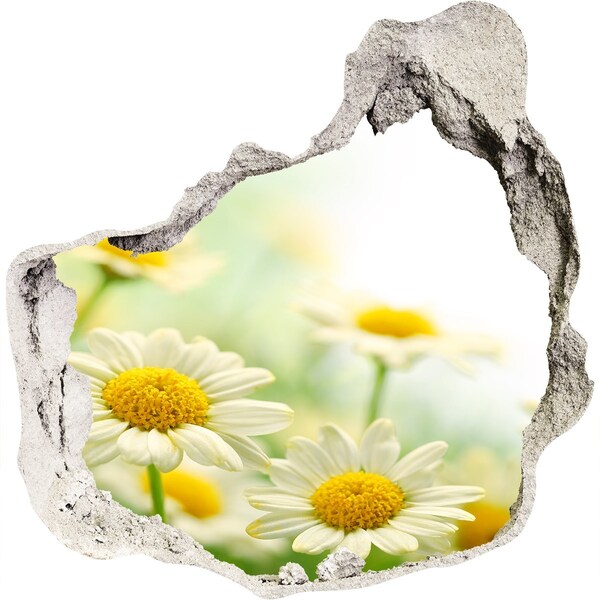 Hole wall sticker A flower paradise behind the wall