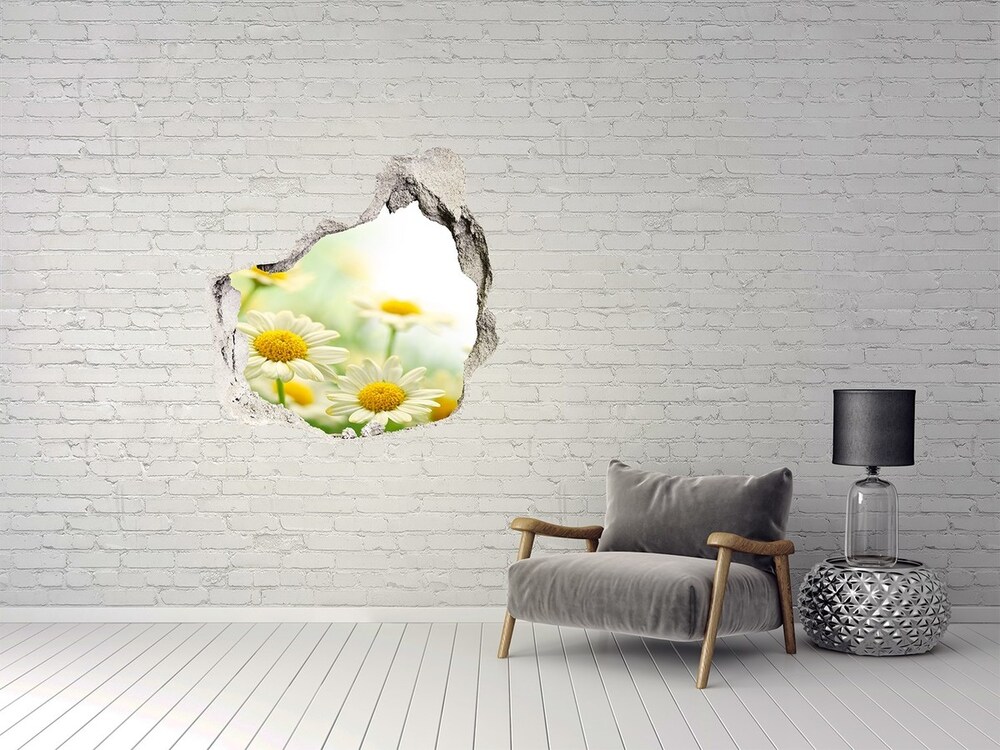 Hole wall sticker Daisy